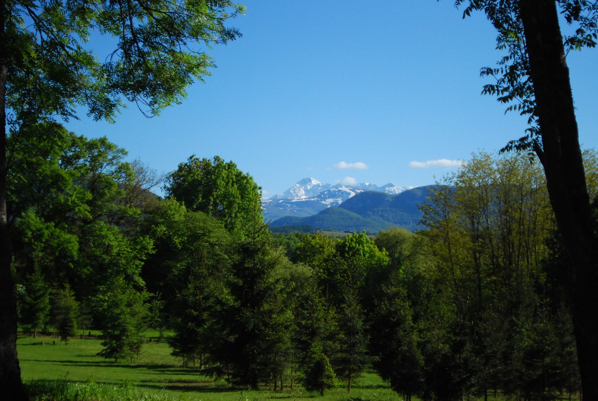 1 vue